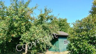 casafari-bild