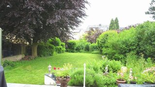 casafari-bild