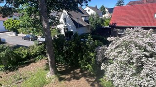 casafari-bild