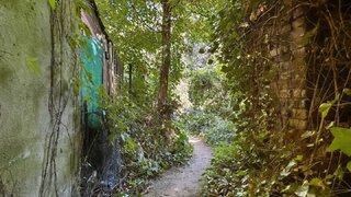 casafari-bild