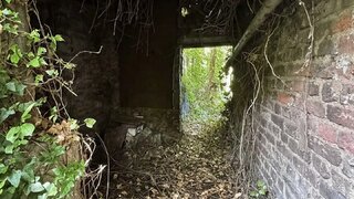 casafari-bild