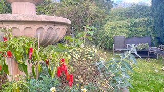 casafari-bild