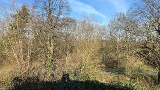 casafari-bild