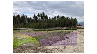 Land for sale in Celorico de Basto, Portugal — €40,000