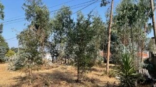 Land for sale in Porto de Mós, Portugal — €31,000