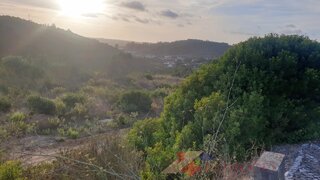 Land for sale in Pombal, Portugal — €43,000