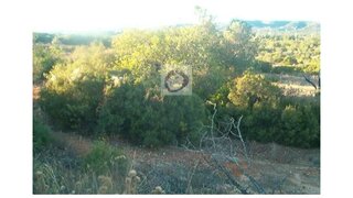 Land for sale in Olhão, Portugal — €40,000
