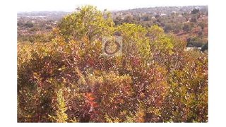 Land for sale in Olhão, Portugal — €213,600