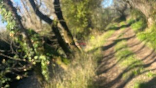 Land for sale in Alvaiázere, Portugal