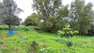 Terreno de 465 m² em Santarém