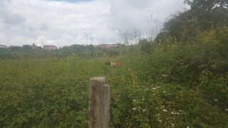 Land for sale in Tomar, Portugal