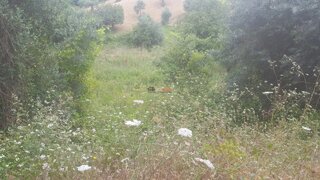Land for sale in Tomar, Portugal