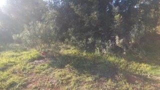 Land for sale in Olhão, Portugal — €285,000