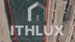 Terreno em Santarém · 184 700 m² · 549 999 €
