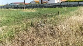 Land for sale in Benavente, Portugal — €500,000