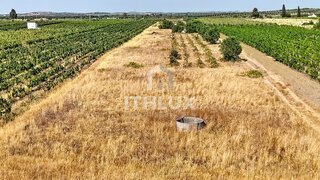Terreno para venda em Redondo, Portugal — 68 000 €