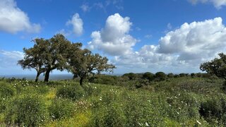 Land for sale in Grândola, Portugal — €550,000