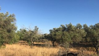 Land for sale in Tavira, Portugal — €4,200,000