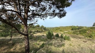 Land for sale in Sintra, Portugal — €750,000