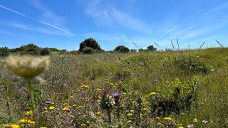 Land for sale in Sintra, Portugal — €600,000