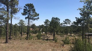 Land for sale in Grândola, Portugal — €1,500,000