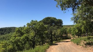 Land for sale in Grândola, Portugal — €1,300,000