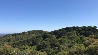 Land for sale in Grândola, Portugal — €1,700,000