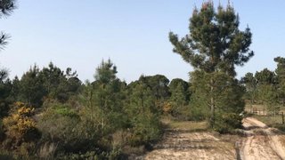 Land for sale in Torres Vedras, Portugal — €1,450,000