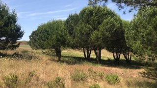 Land for sale in Sintra, Portugal — €3,500,000