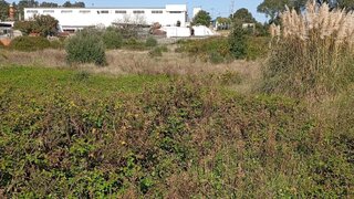 Land for sale in Sintra, Portugal — €299,800
