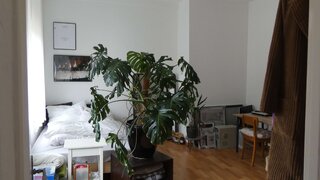 casafari-bild