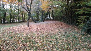 casafari-bild