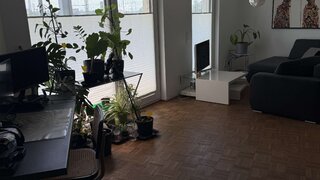 casafari-bild