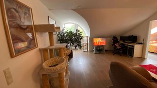 casafari-bild