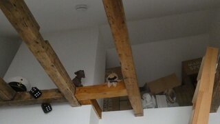casafari-bild