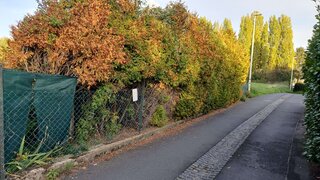casafari-bild