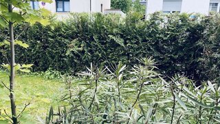 casafari-bild
