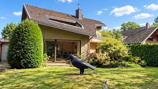 casafari-bild