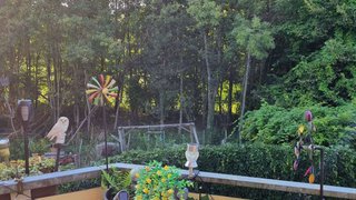 casafari-bild
