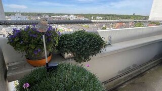 casafari-bild