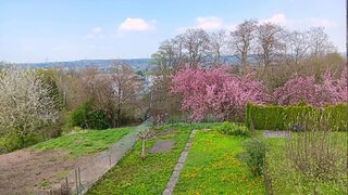 casafari-bild