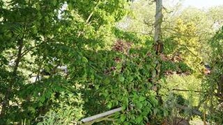 casafari-bild
