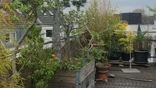 casafari-bild