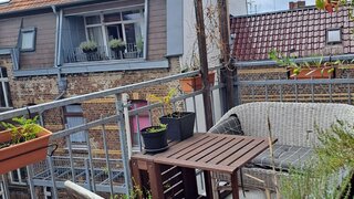 casafari-bild