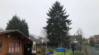casafari-bild