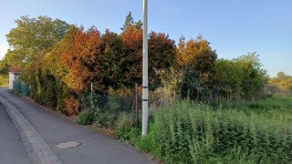 casafari-bild