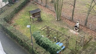 casafari-bild