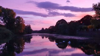 casafari-bild