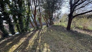casafari-bild