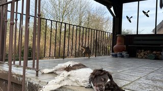casafari-bild